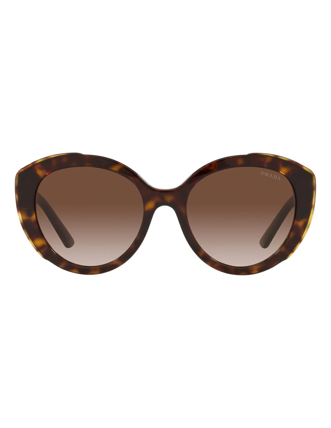 Prada SPR 01Y 1AB-0A7 Square Shape Brown Carey