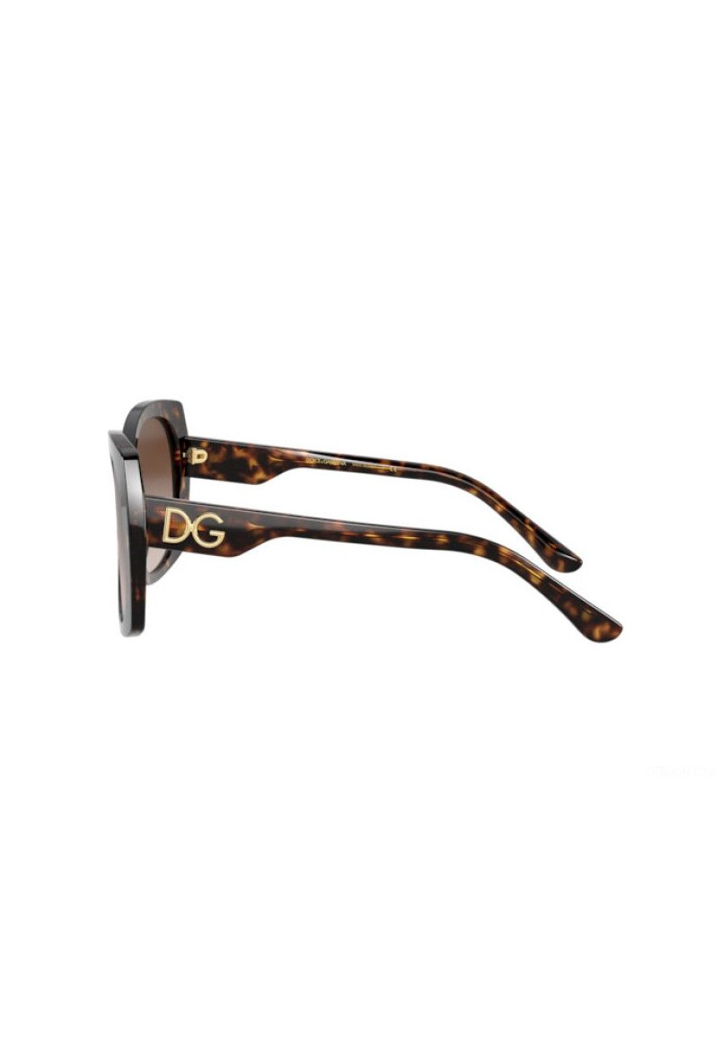 Dolce & Gabbana DG4385 502/13 Square Shape Carey Brown