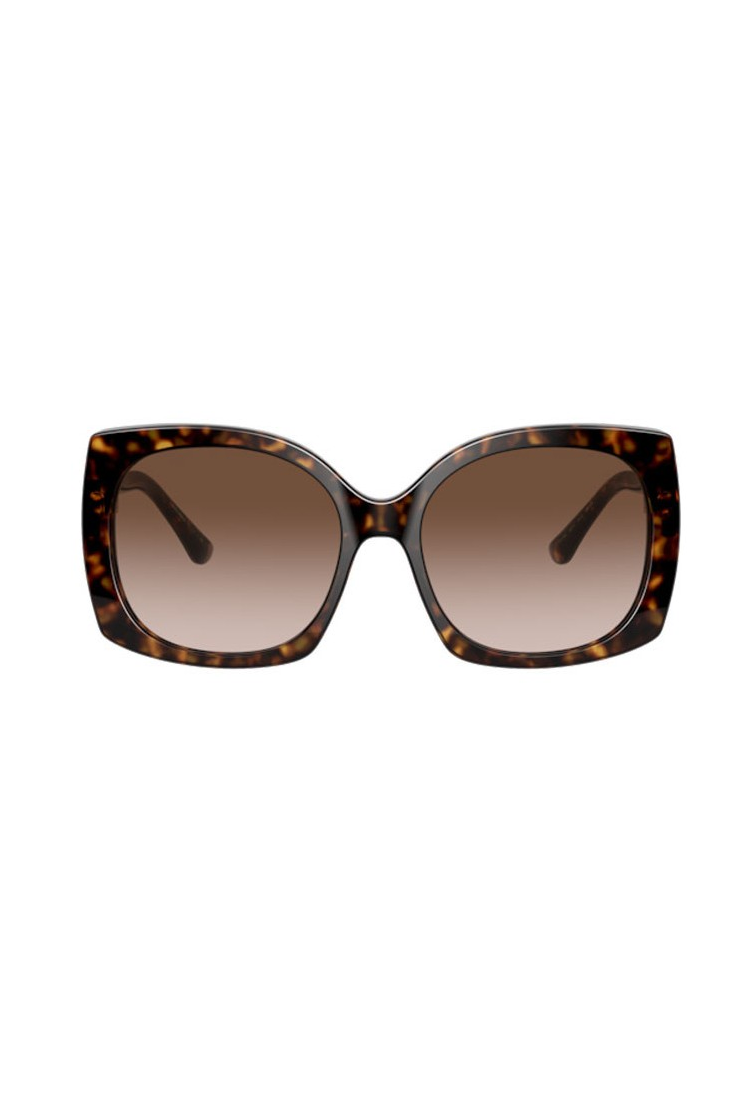 Dolce & Gabbana DG4385 502/13 Square Shape Carey Brown