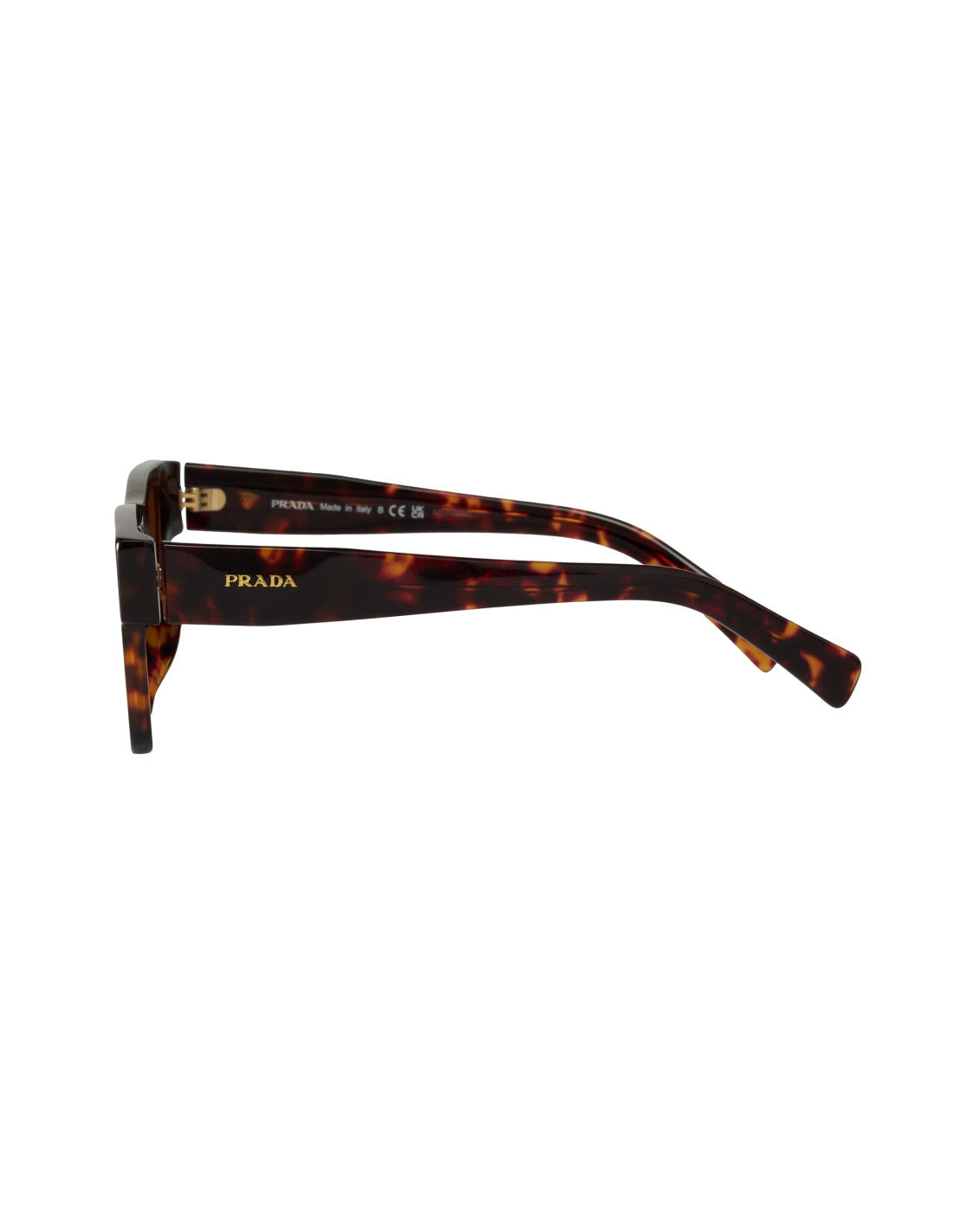 Prada SPR 19WS VAU-2Z1 Square Shape Turtle Brown